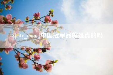 中山中国冠军品牌是真的吗