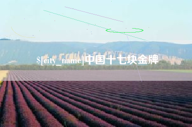 中山中国十七块金牌