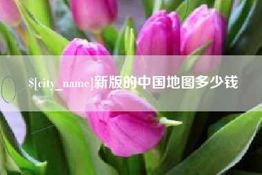 中山新版的中国地图多少钱