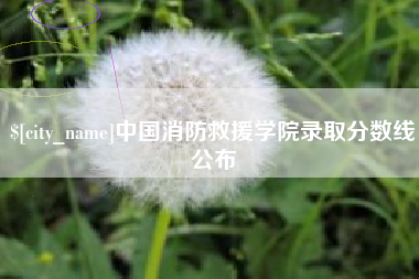 中山中国消防救援学院录取分数线公布