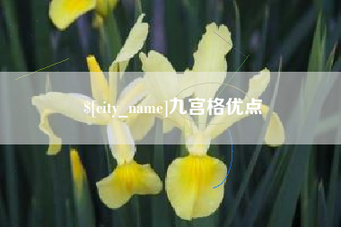 中山九宫格优点