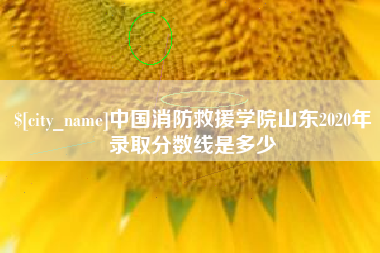 中山中国消防救援学院山东2020年录取分数线是多少