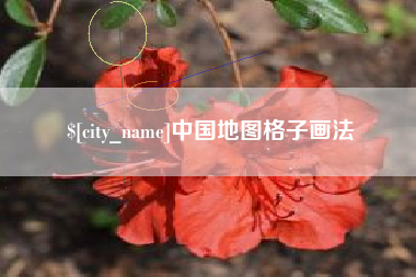 中山中国地图格子画法