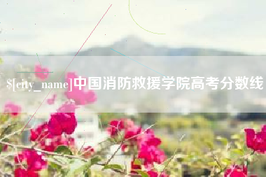 中山中国消防救援学院高考分数线
