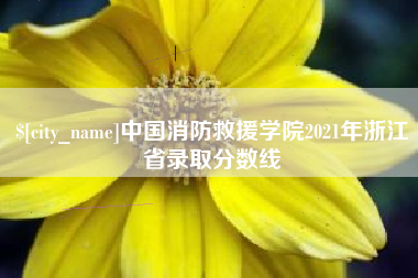 中山中国消防救援学院2021年浙江省录取分数线
