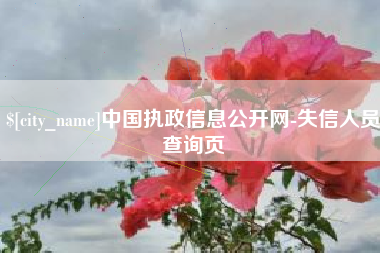 中山中国执政信息公开网-失信人员查询页