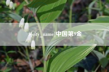 中山中国第9金