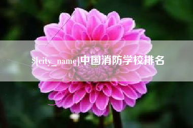 中山中国消防学校排名