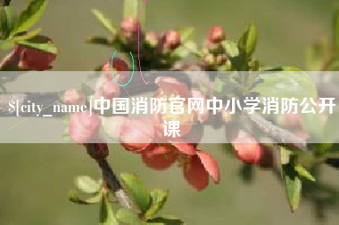中山中国消防官网中小学消防公开课