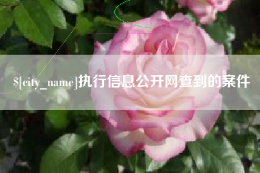 中山执行信息公开网查到的案件