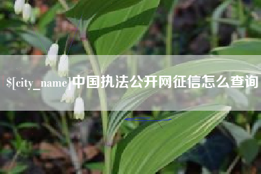中山中国执法公开网征信怎么查询