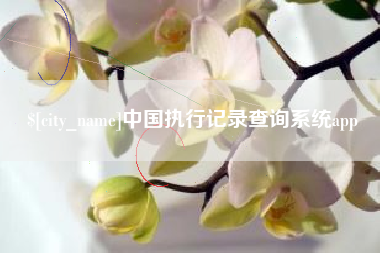 中山中国执行记录查询系统app