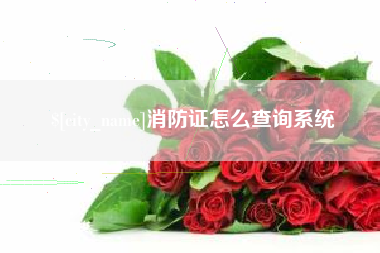 中山消防证怎么查询系统
