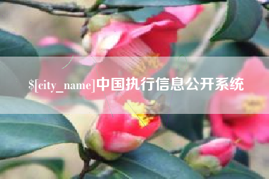 中山中国执行信息公开系统