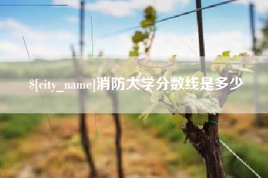 中山消防大学分数线是多少