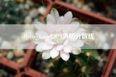 中山2021消防分数线