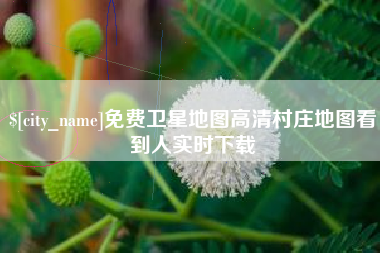 中山免费卫星地图高清村庄地图看到人实时下载