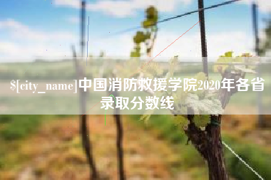 中山中国消防救援学院2020年各省录取分数线