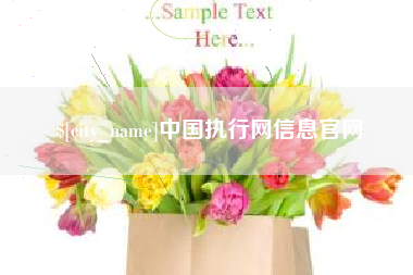 中山中国执行网信息官网