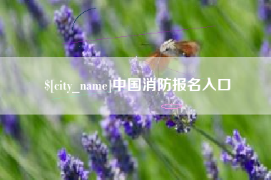 中山中国消防报名入口