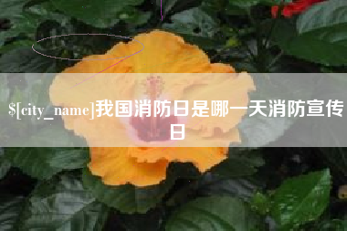 中山我国消防日是哪一天消防宣传日