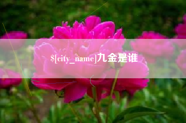 中山九金是谁