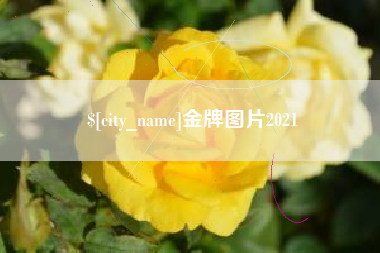 中山金牌图片2021