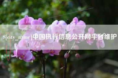 中山中国执行信息公开网平台维护