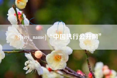 中山“中国执行公开网”