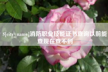 中山消防职业技能证书查询以前能查现在查不到