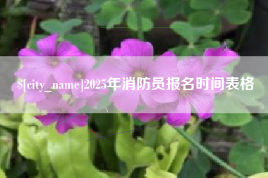 中山2025年消防员报名时间表格