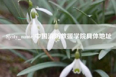 中山中国消防救援学院具体地址