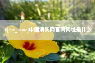 中山中国消防网官网网址是什么