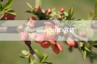 中山2021年9宫格