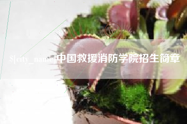 中山中国救援消防学院招生简章