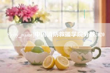中山中国消防救援学院分数2020