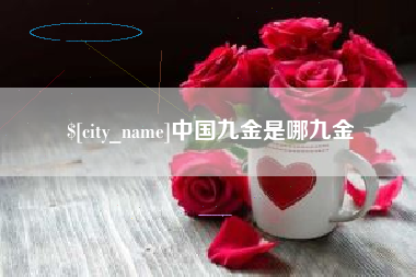 中山中国九金是哪九金