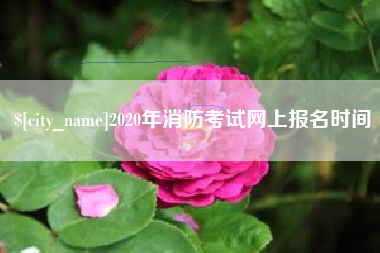 中山2020年消防考试网上报名时间