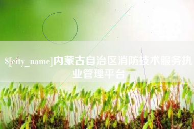 中山内蒙古自治区消防技术服务执业管理平台