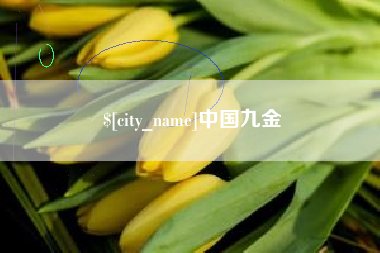 中山中国九金