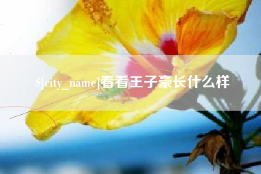 中山看看王子豪长什么样