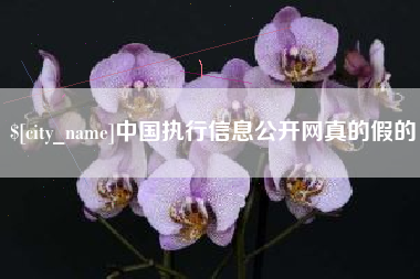 中山中国执行信息公开网真的假的