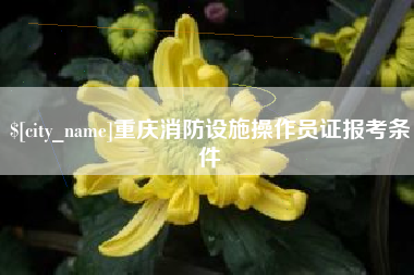 中山重庆消防设施操作员证报考条件