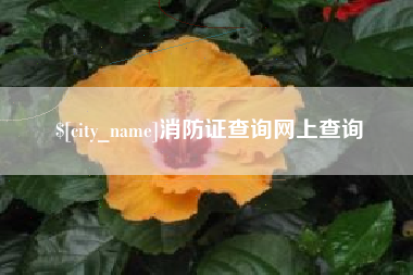 中山消防证查询网上查询