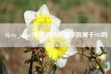 中山中国消防救援学院属于985吗