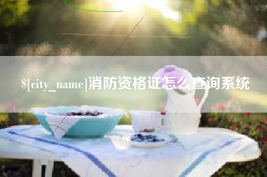中山消防资格证怎么查询系统