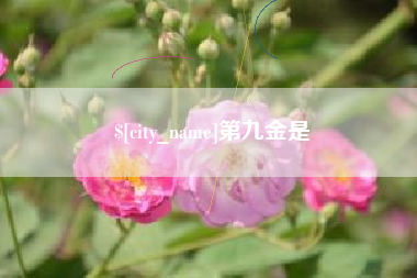 中山第九金是