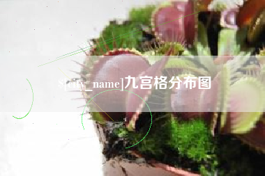 中山九宫格分布图