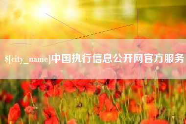 中山中国执行信息公开网官方服务