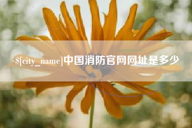 中山中国消防官网网址是多少